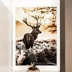 펜션 Hirschnest Sankt Pankraz