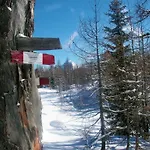 Hirschnest *