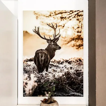 Дом отдыха Hirschnest Sankt Pankraz