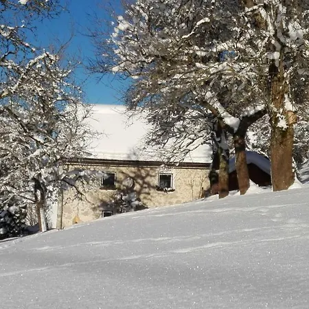 Ferienhaus Hirschnest