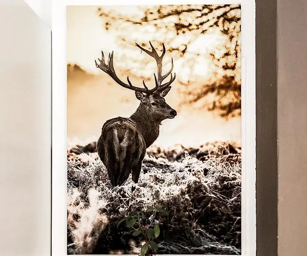 בית נופש Hirschnest Sankt Pankraz