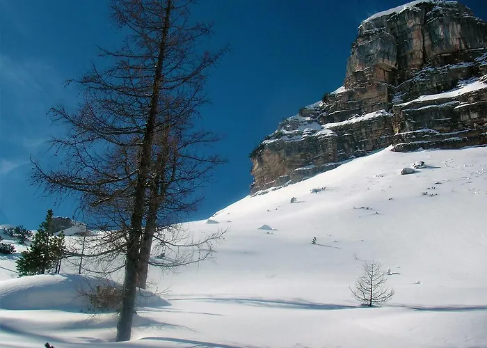 Σπίτι διακοπών Hirschnest *