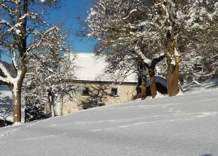 Semesterbostad Hirschnest