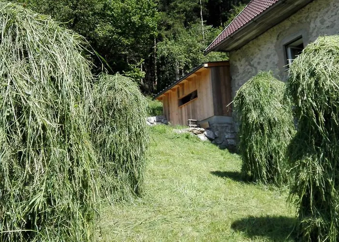 Hirschnest Semesterbostad *