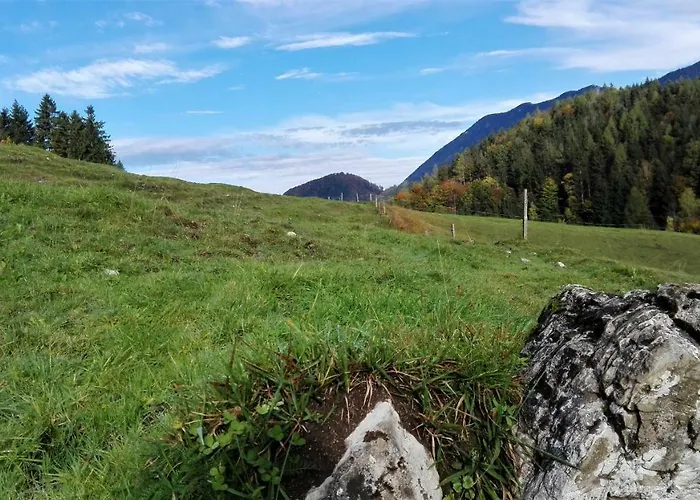 Hirschnest Semesterbostad Sankt Pankraz