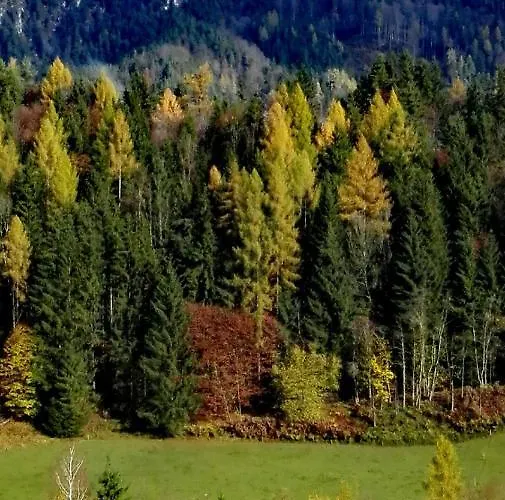Hirschnest Semesterbostad Sankt Pankraz